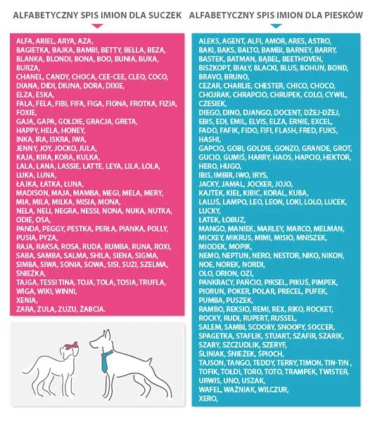 Dźwięczne imiona dla psa