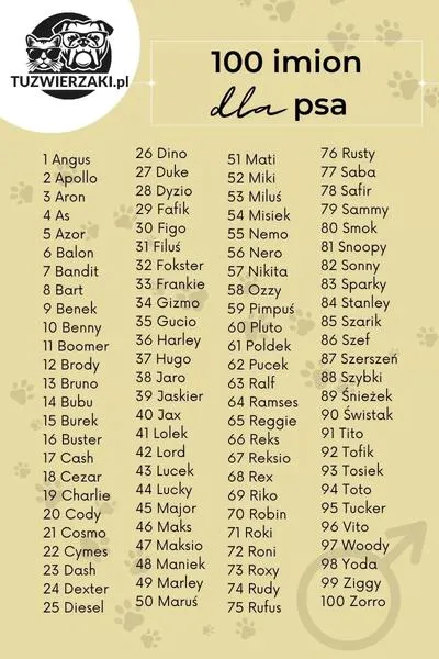 Imię dla psa