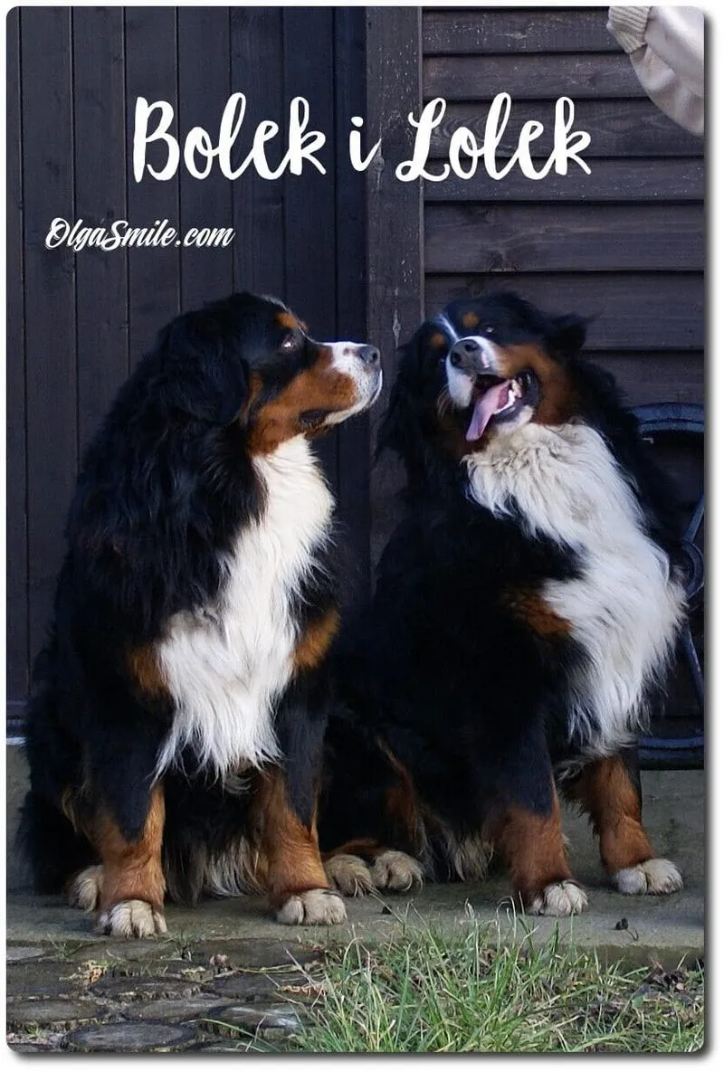 Imię jako element szkolenia