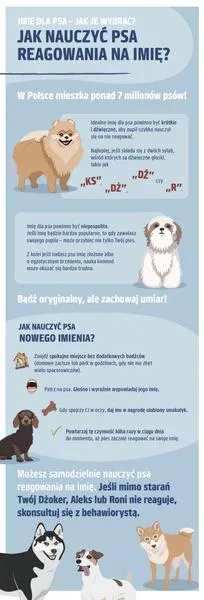 Imię ludzkie dla psa