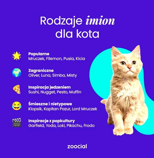Imiona dla kotek