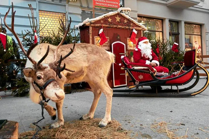 Imiona reniferów Mikołaja