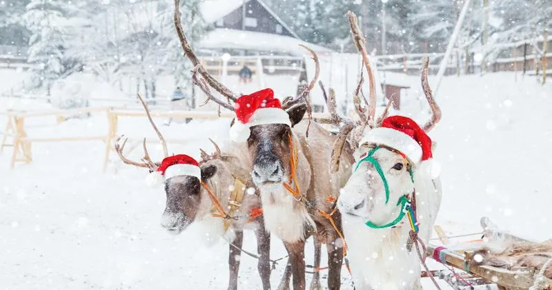 Legenda i tradycja świąteczna