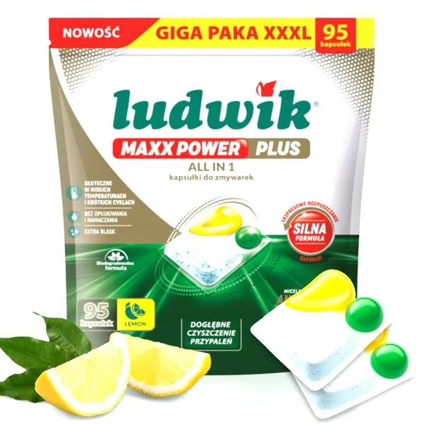 Ludwikowie w historii