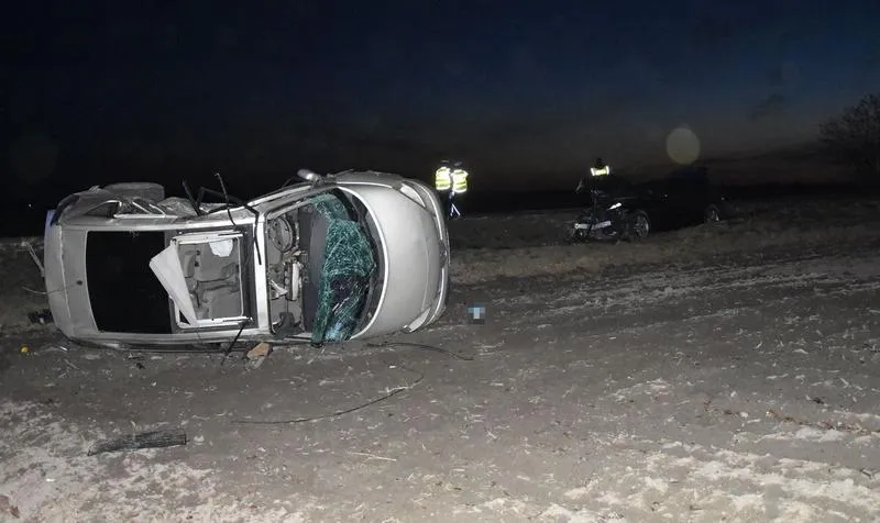 Media społecznościowe w poszukiwaniach