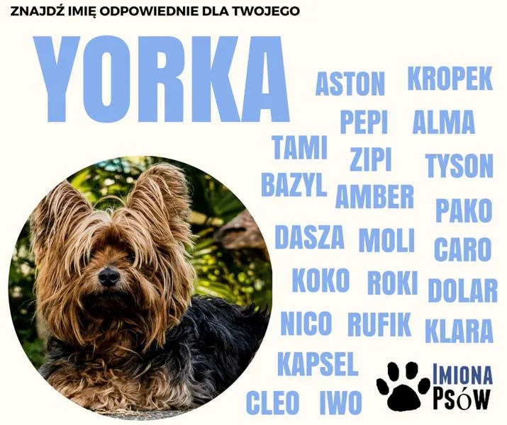 Najpopularniejsze imiona 2026