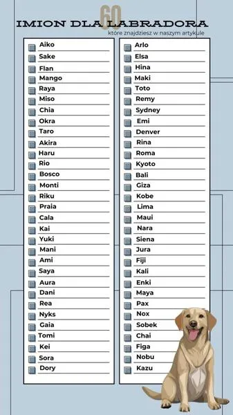 Oryginalne imiona dla psów