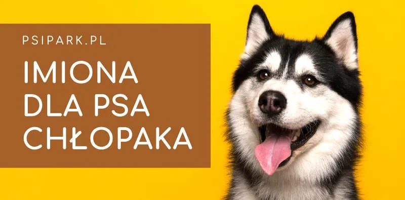 Porady wybór imienia