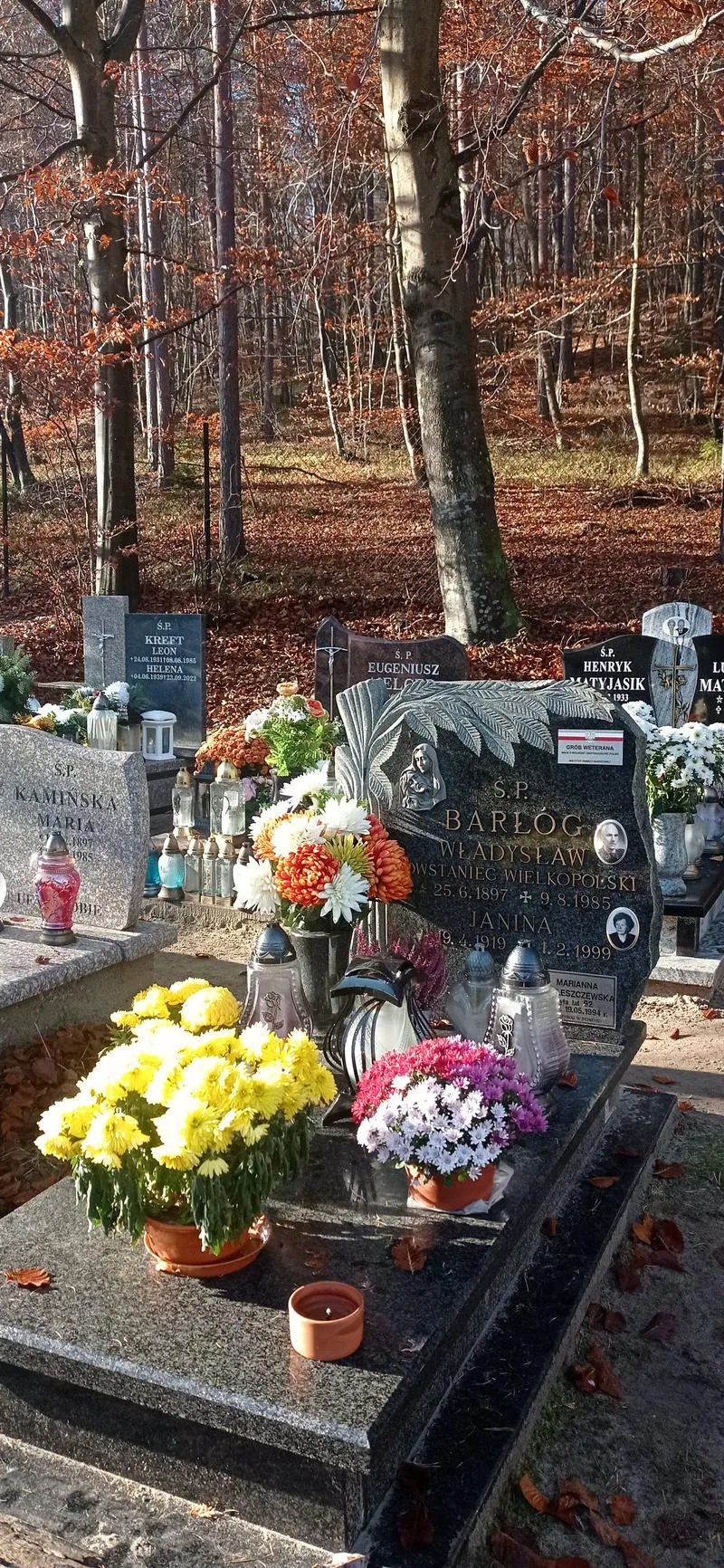 Szare Szeregi i harcerstwo