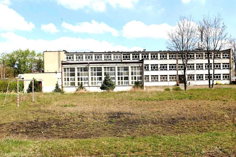 Tożsamość edukacyjna