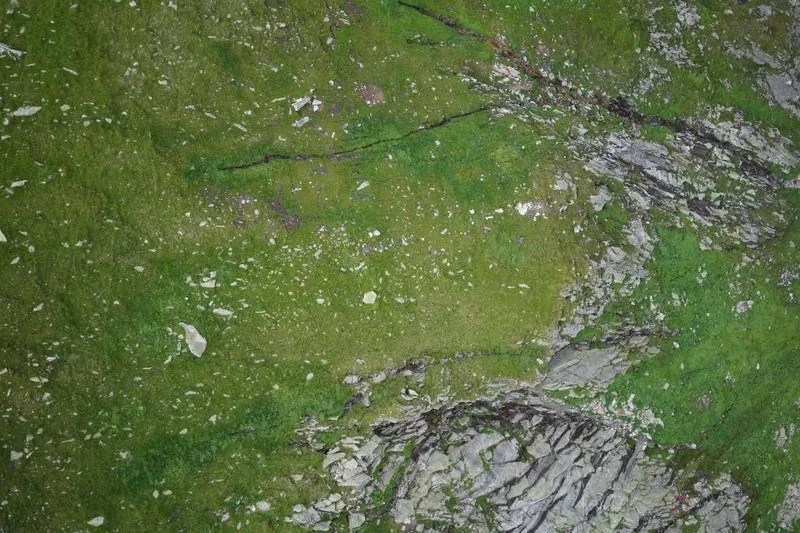 Znalezienie osoby po imieniu